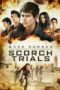 Maze Runner: The Scorch Trials (2015)