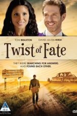 Twist of Faith (2013)