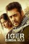 Tiger Zinda Hai (2017)