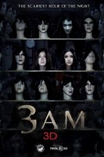 3 A.M. 3D (2012)