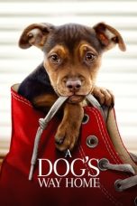 A Dog's Way Home (2019)